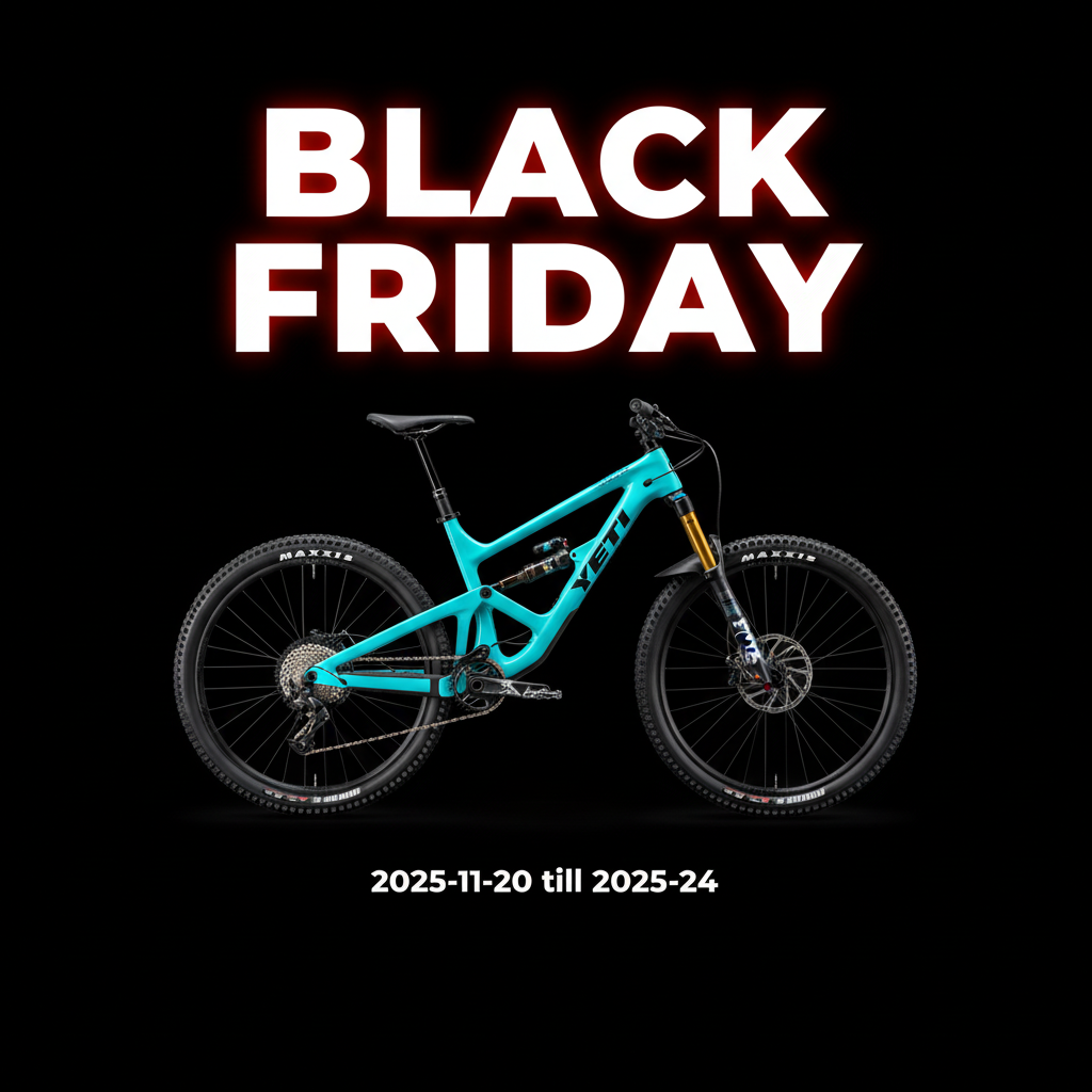 Black Friday weekend 2025