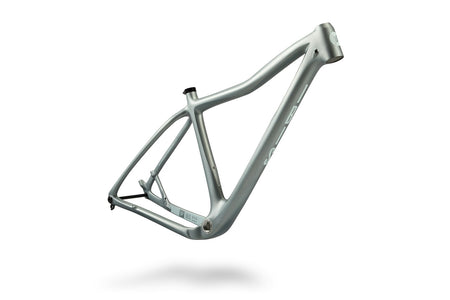 Silver Lining — Ibis DV9 V2 Frameset 2027
