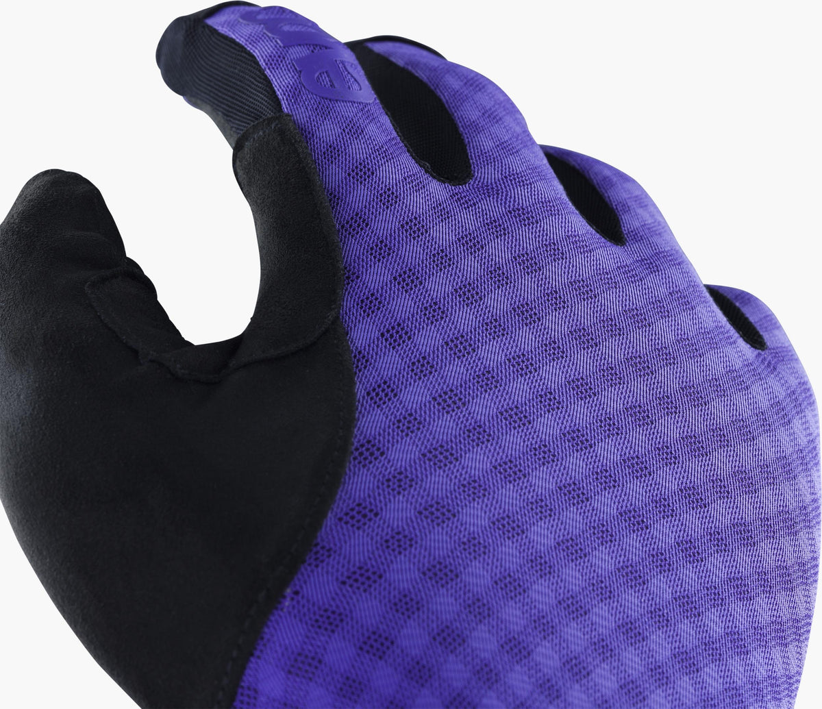 #Colour_violet