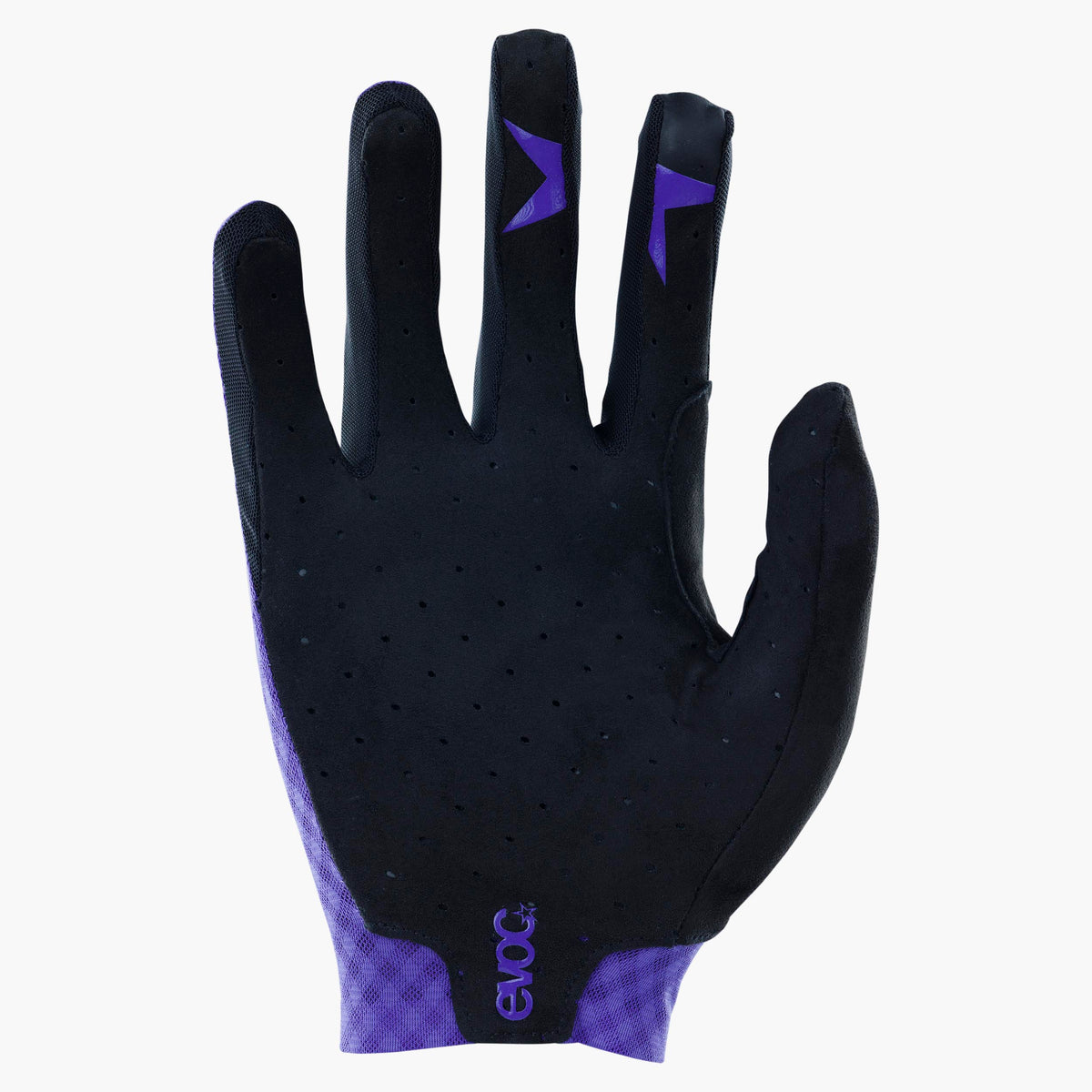 #Colour_violet