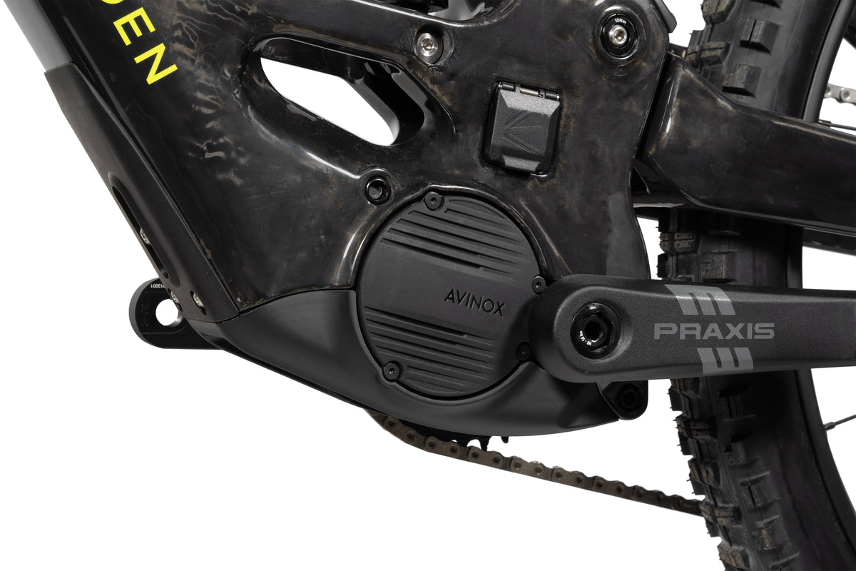 Forbidden Druid eCore boutique-mtb