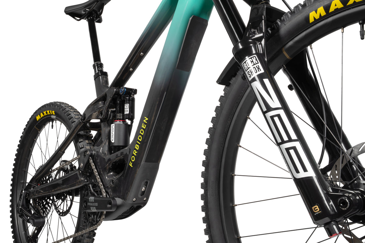 Forbidden Druid eCore boutique-mtb