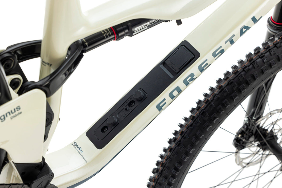 Forestal Cygnus Diōde boutique-mtb