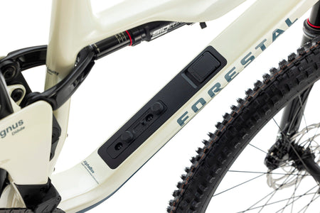 Forestal Cygnus Diōde boutique-mtb