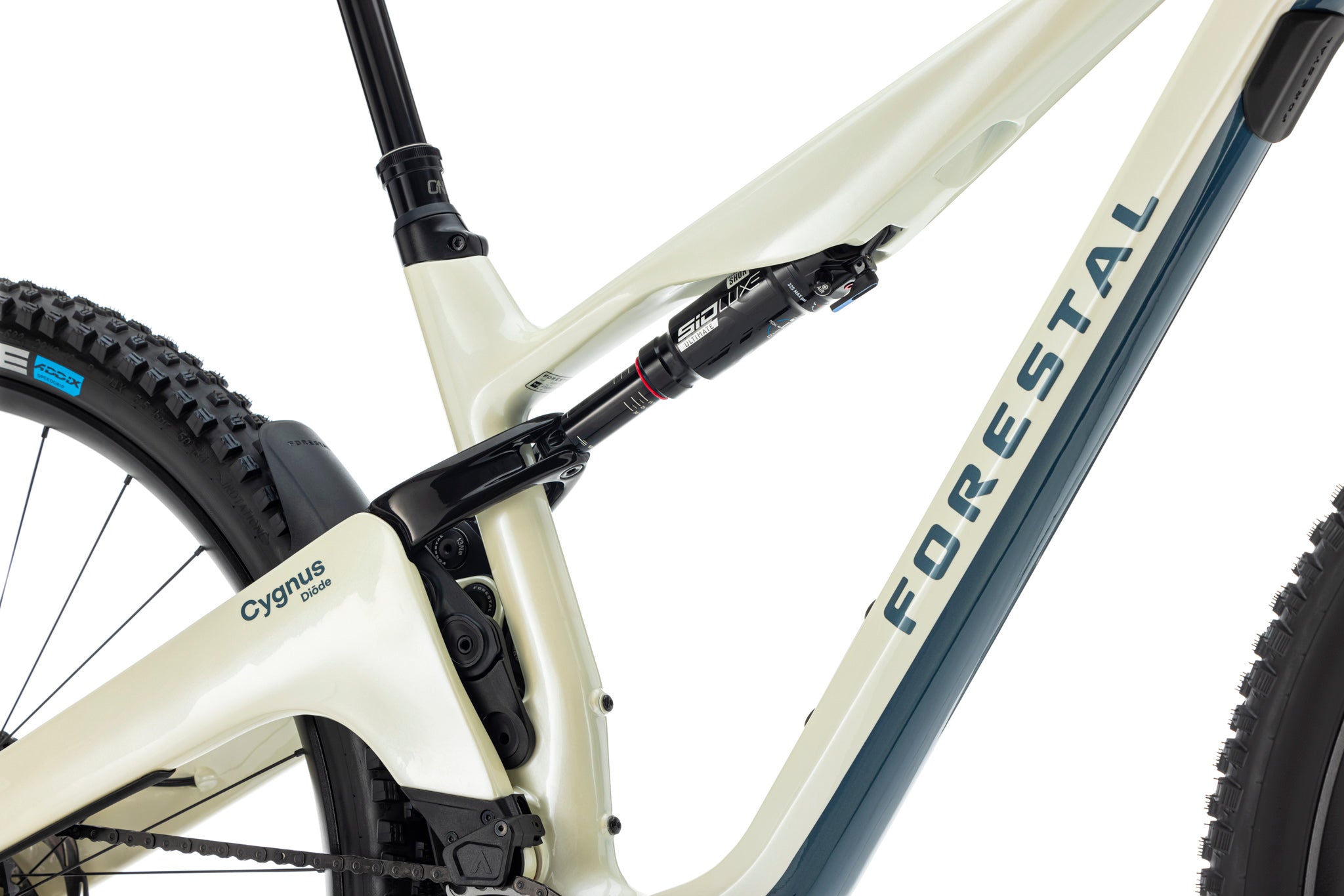 Forestal Cygnus Diōde boutique-mtb