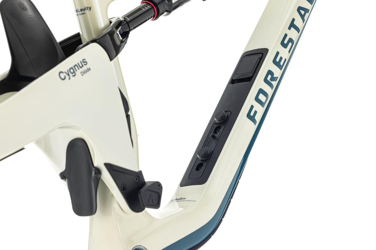 Forestal Cygnus Frameset boutique-mtb