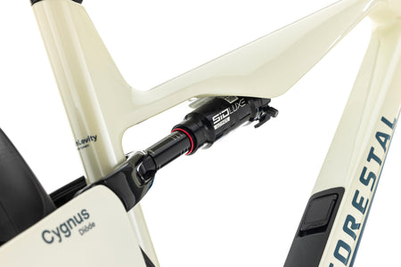 Forestal Cygnus Frameset boutique-mtb