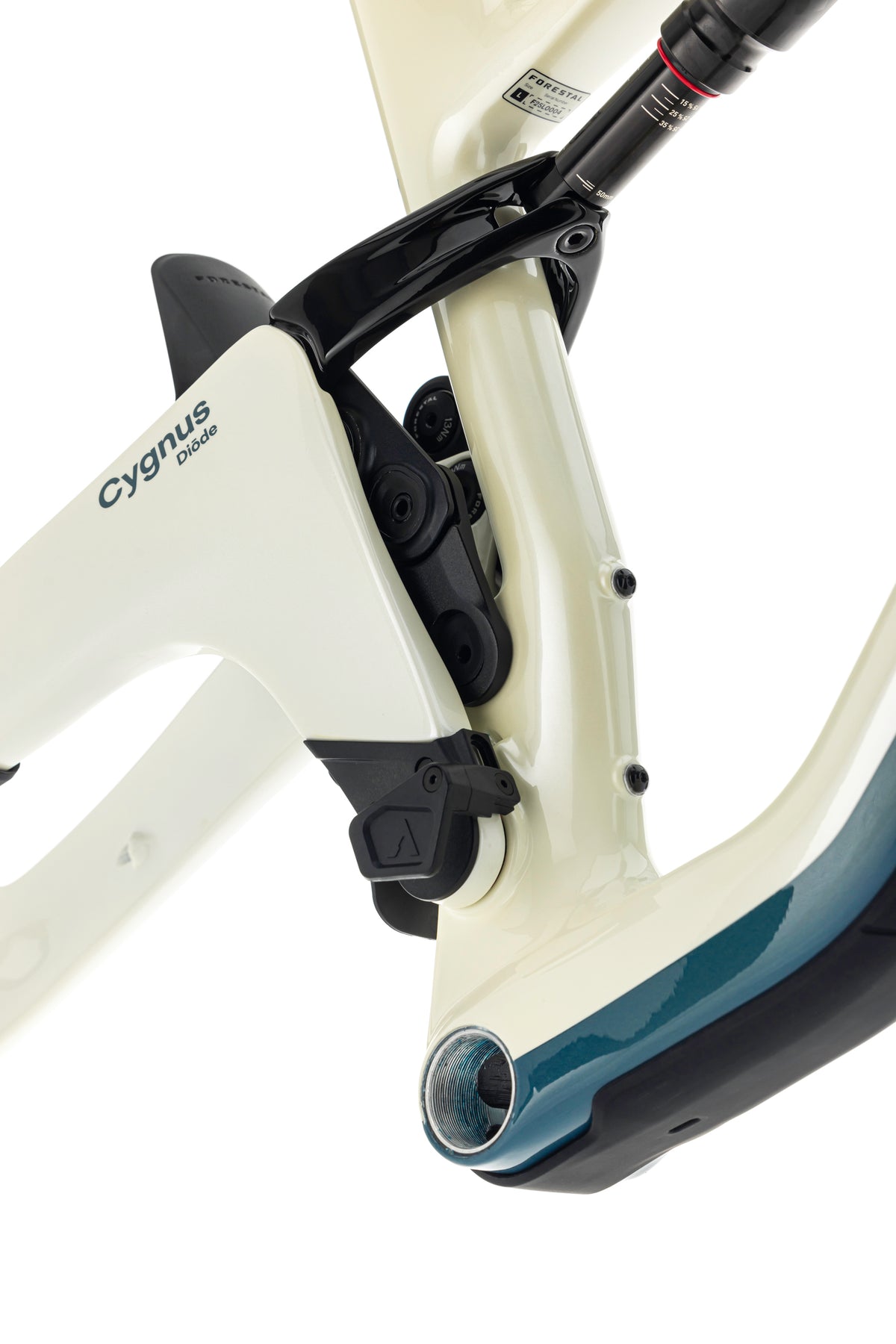 Forestal Cygnus Frameset boutique-mtb