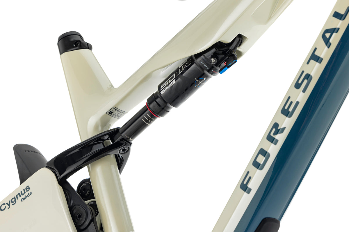 Forestal Cygnus Frameset boutique-mtb