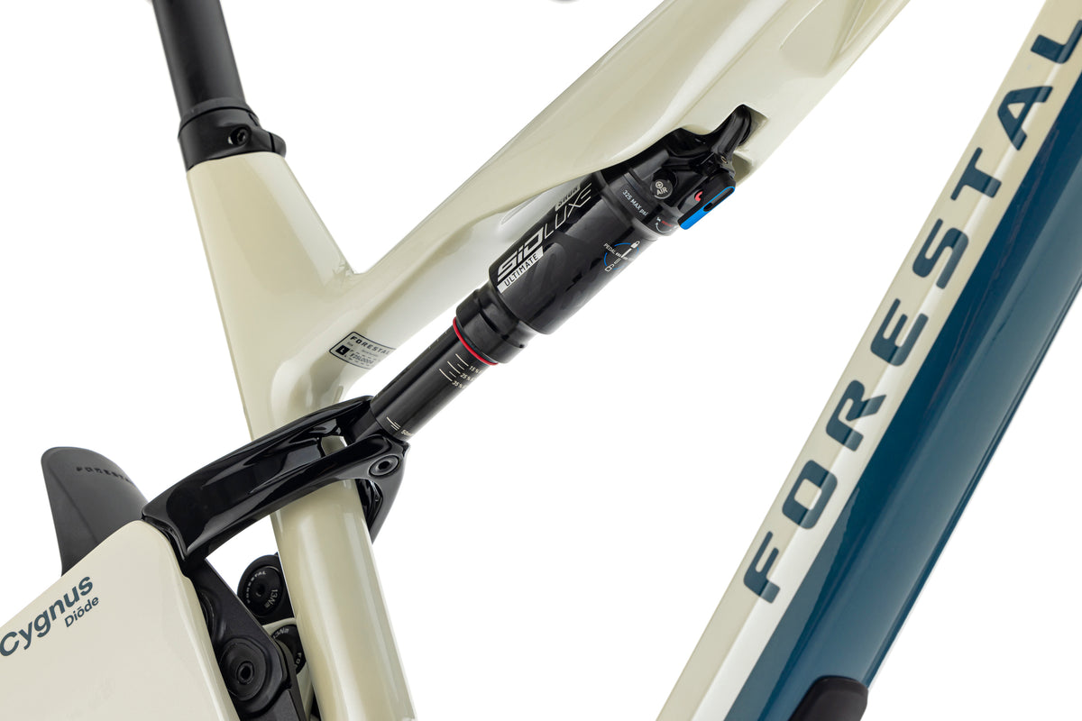 Forestal Cygnus Frameset boutique-mtb