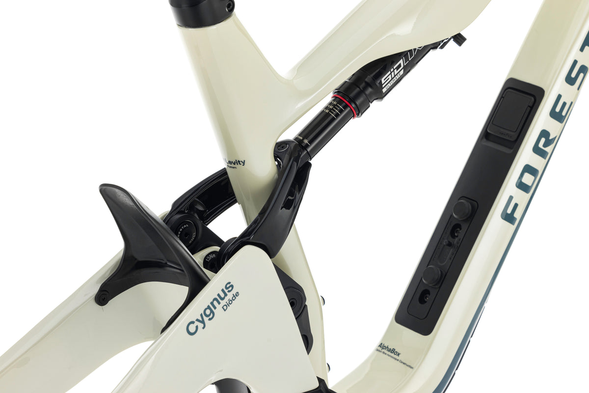 Forestal Cygnus Frameset boutique-mtb