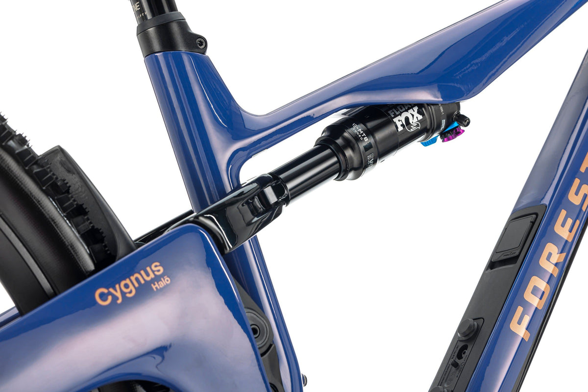 Forestal Cygnus Halō boutique-mtb