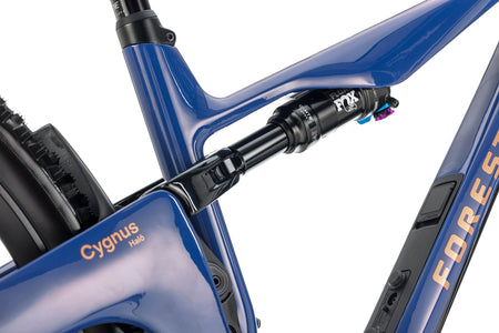 Forestal Cygnus Halō boutique-mtb