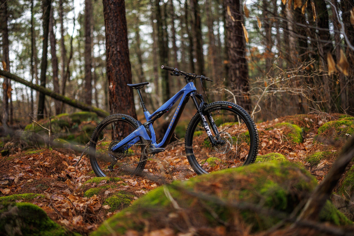 Forestal Cygnus Halō boutique-mtb