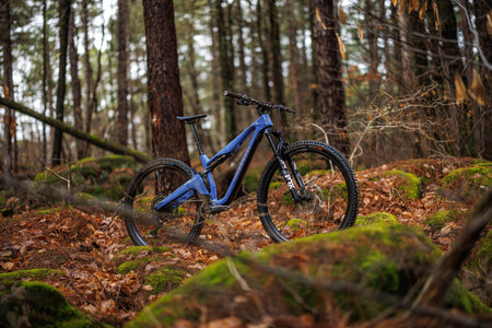 Forestal Cygnus Halō boutique-mtb