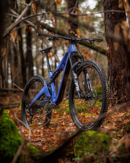 Forestal Cygnus Halō boutique-mtb