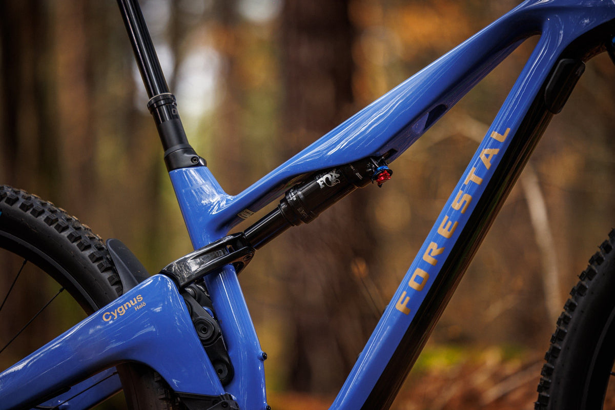 Forestal Cygnus Halō boutique-mtb