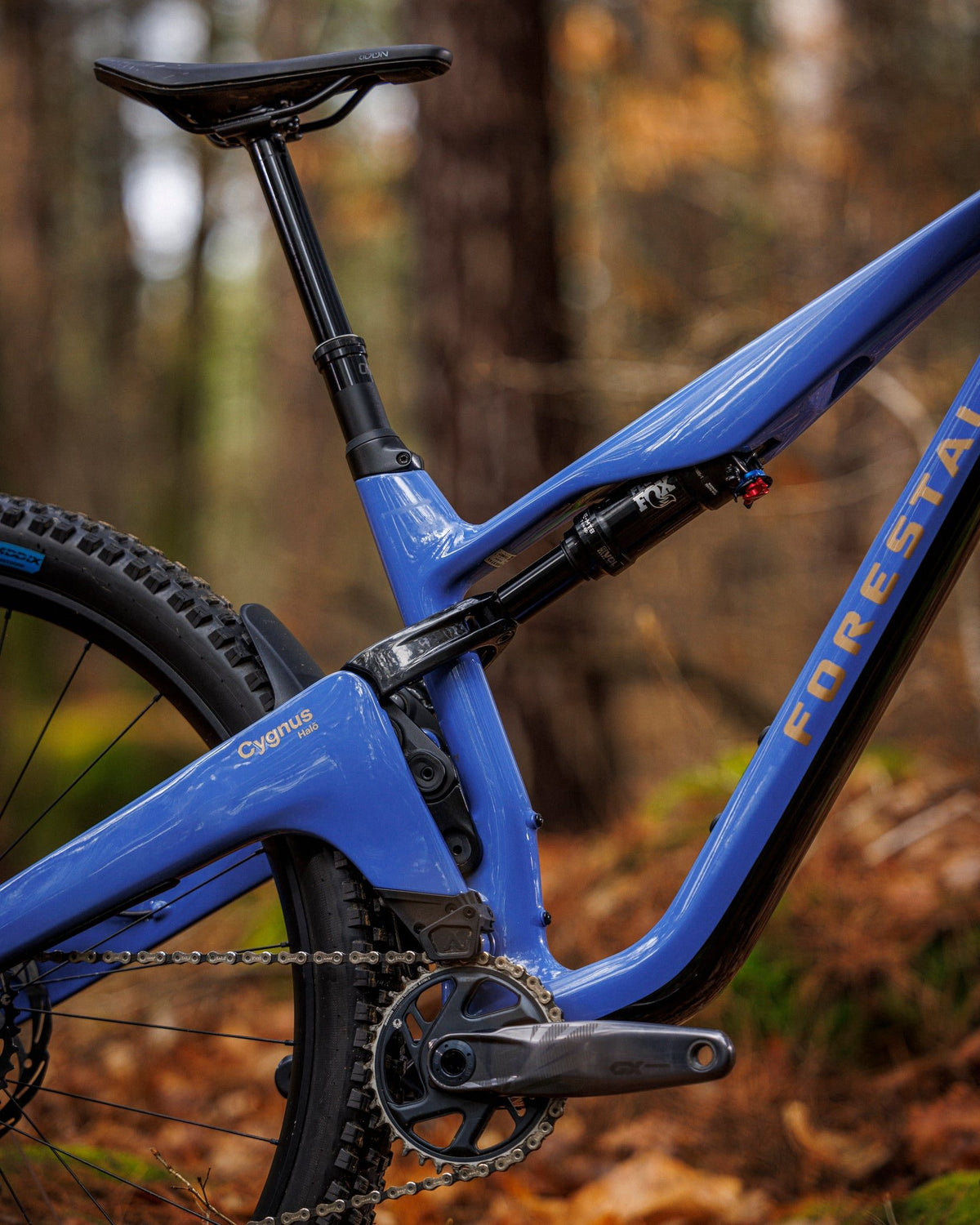 Forestal Cygnus Halō boutique-mtb