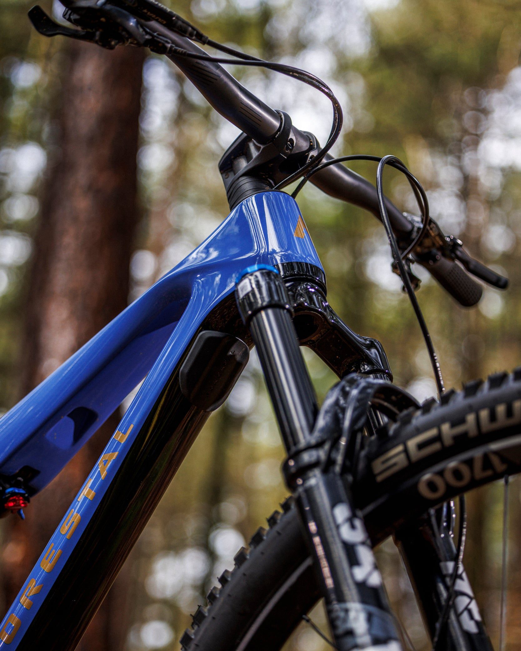 Forestal Cygnus Halō boutique-mtb