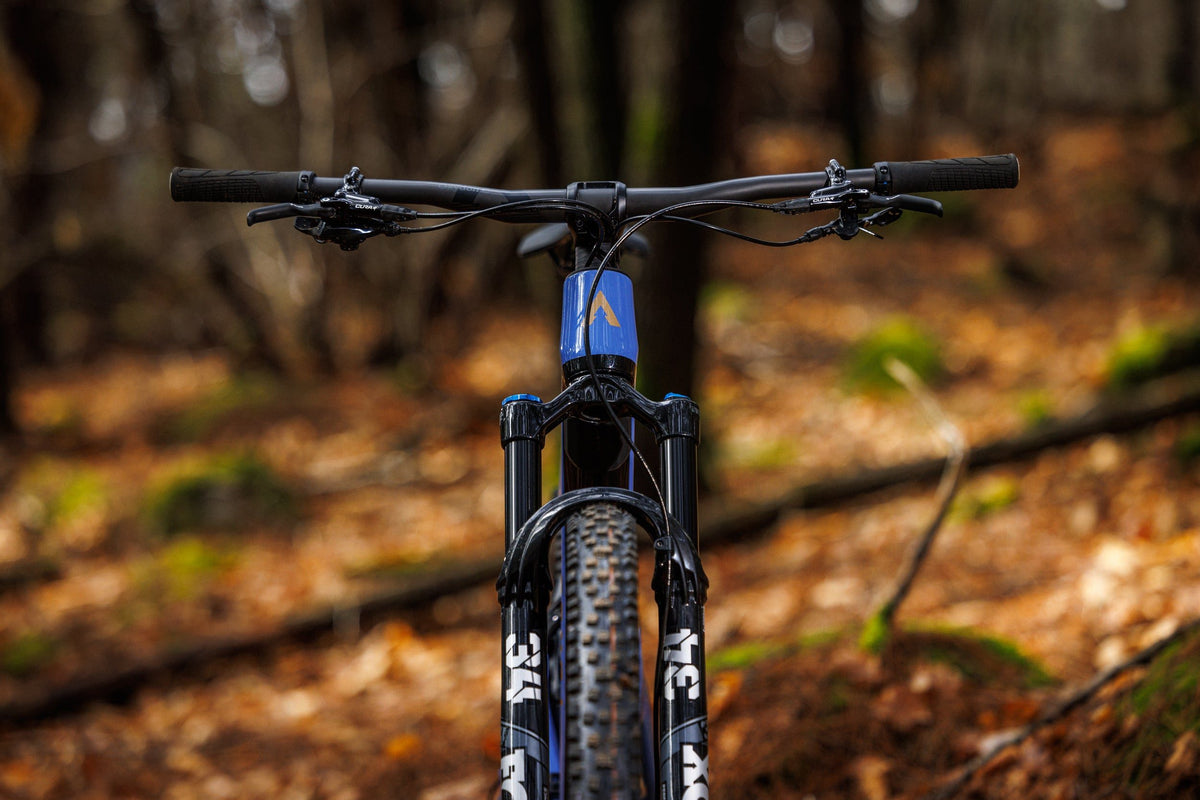 Forestal Cygnus Halō boutique-mtb