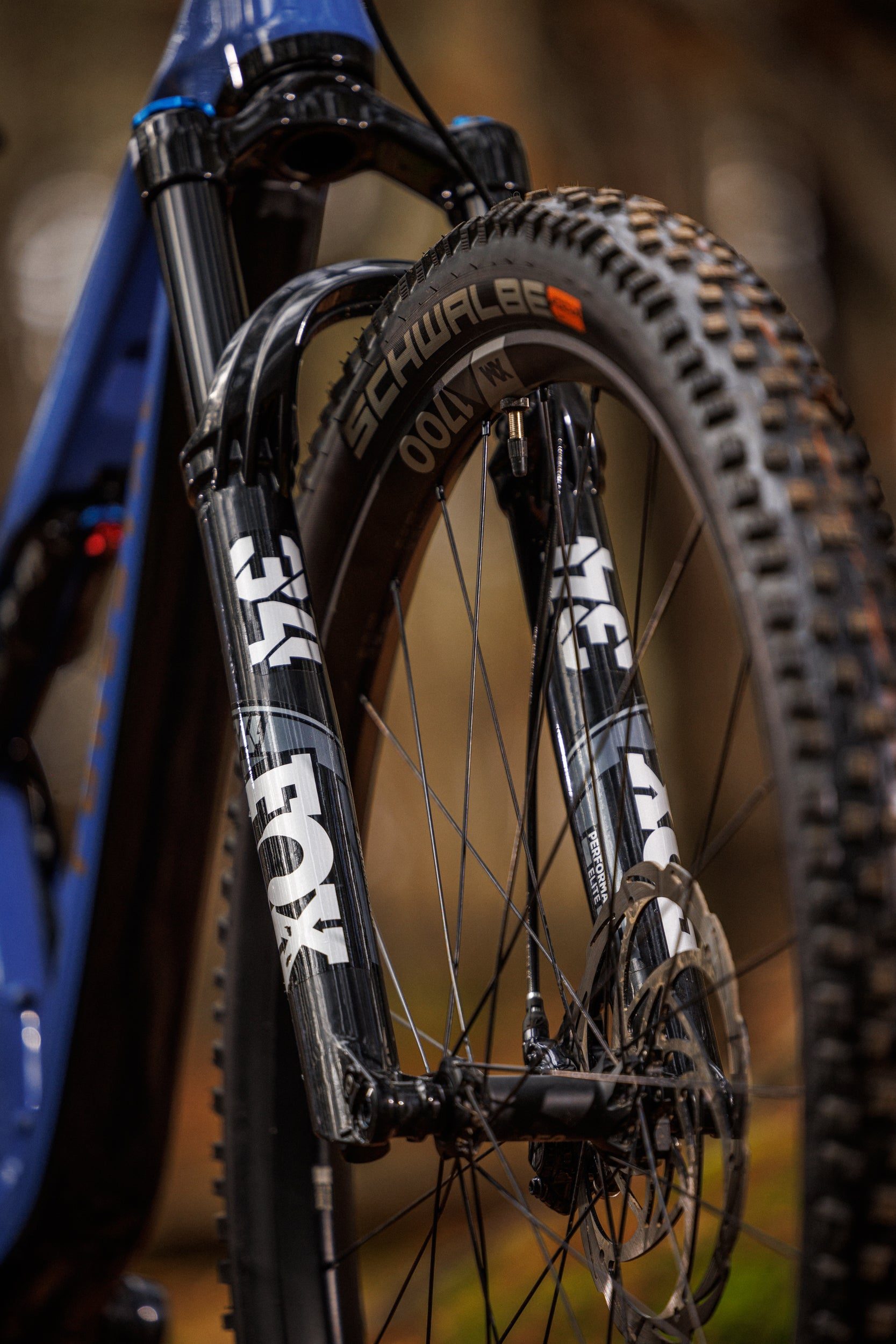 Forestal Cygnus Halō boutique-mtb