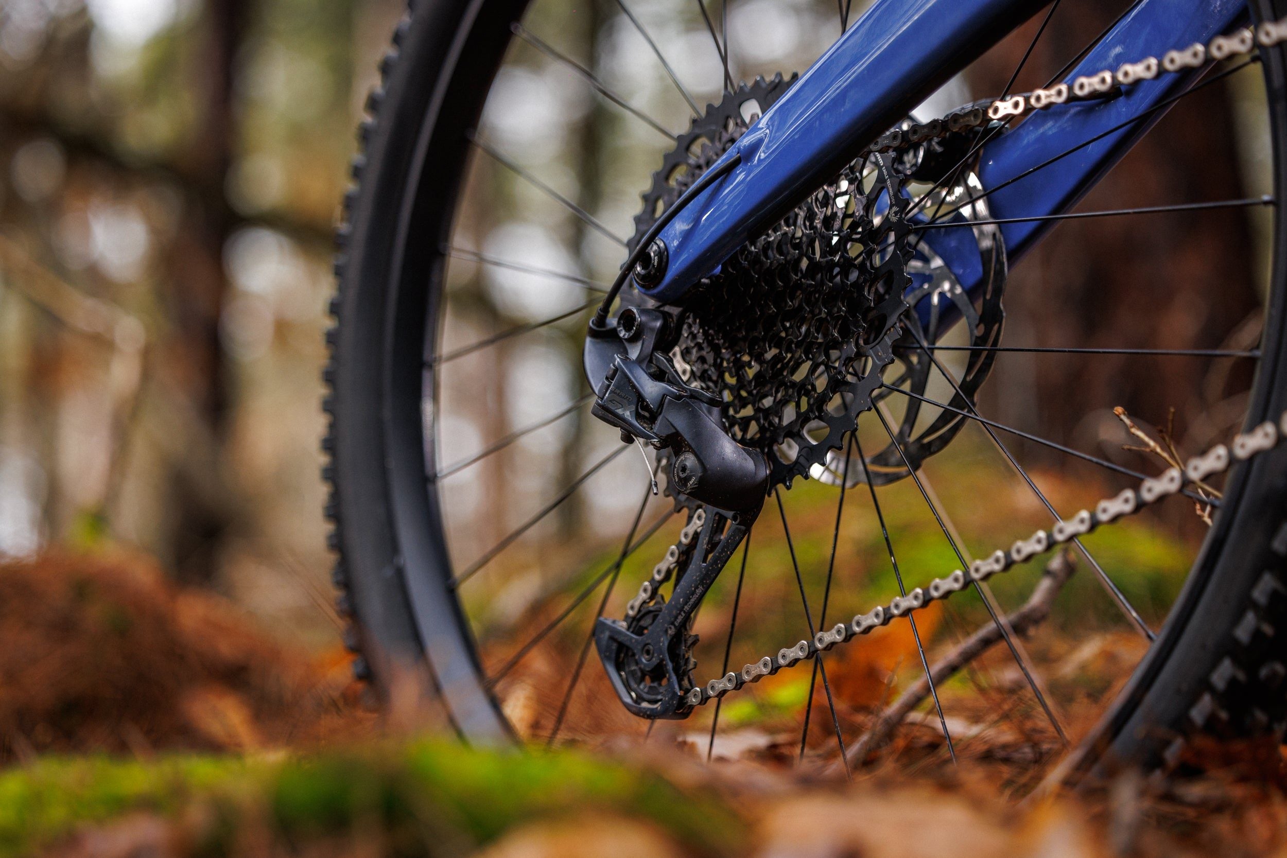 Forestal Cygnus Halō boutique-mtb