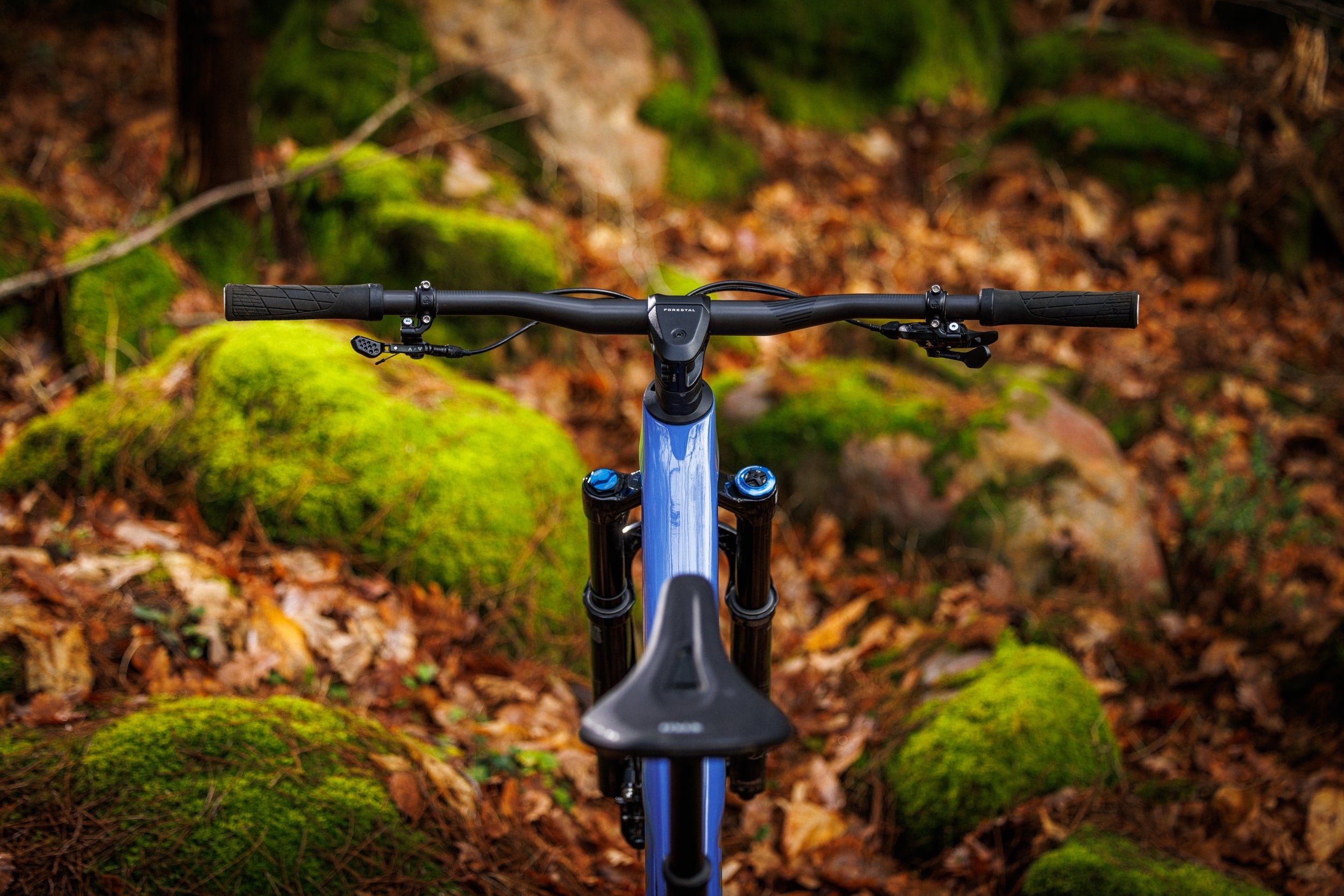 Forestal Cygnus Halō boutique-mtb