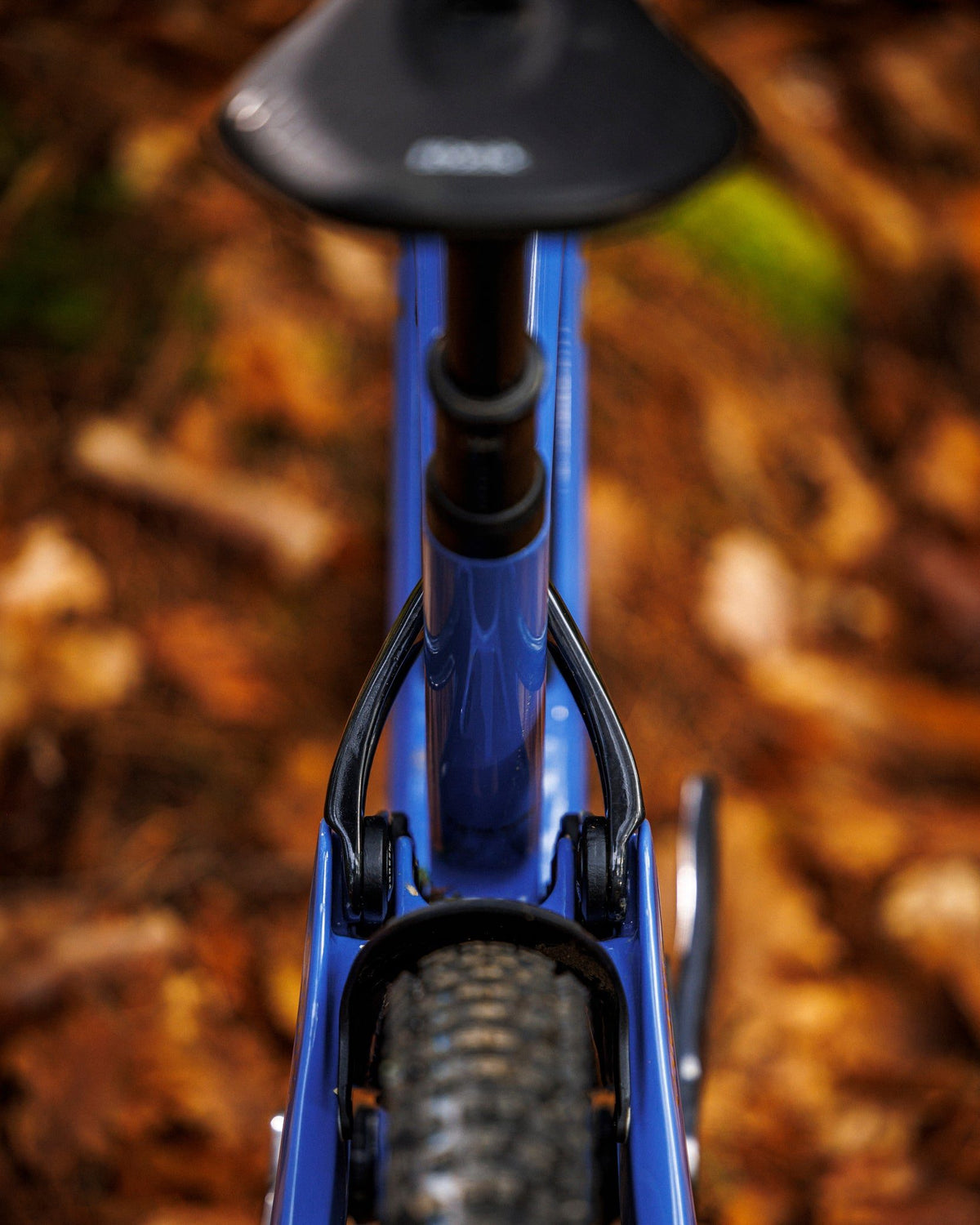 Forestal Cygnus Halō boutique-mtb