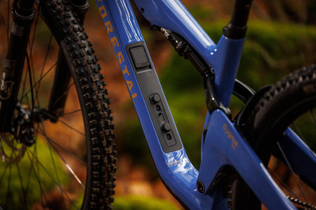 Forestal Cygnus Halō boutique-mtb