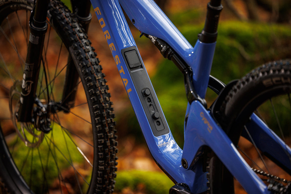 Forestal Cygnus Halō boutique-mtb