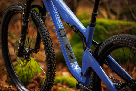 Forestal Cygnus Halō boutique-mtb