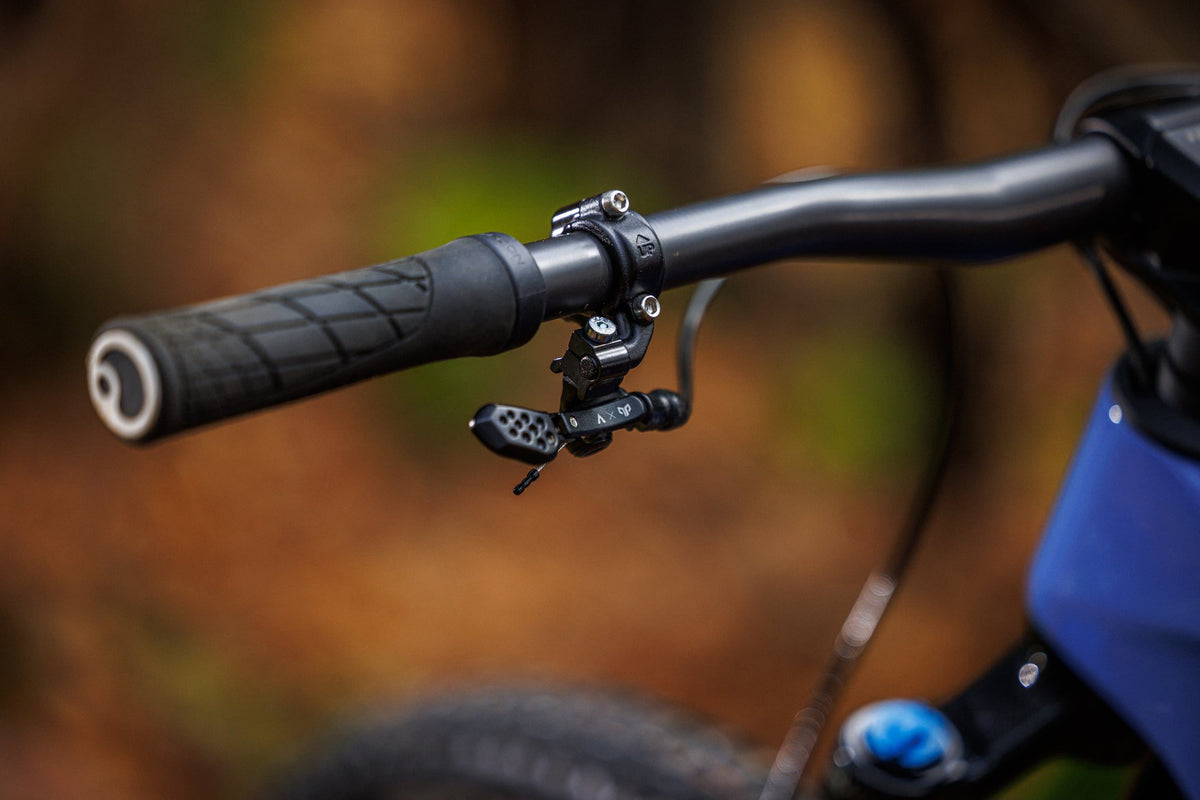 Forestal Cygnus Halō boutique-mtb