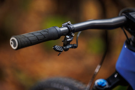 Forestal Cygnus Halō boutique-mtb