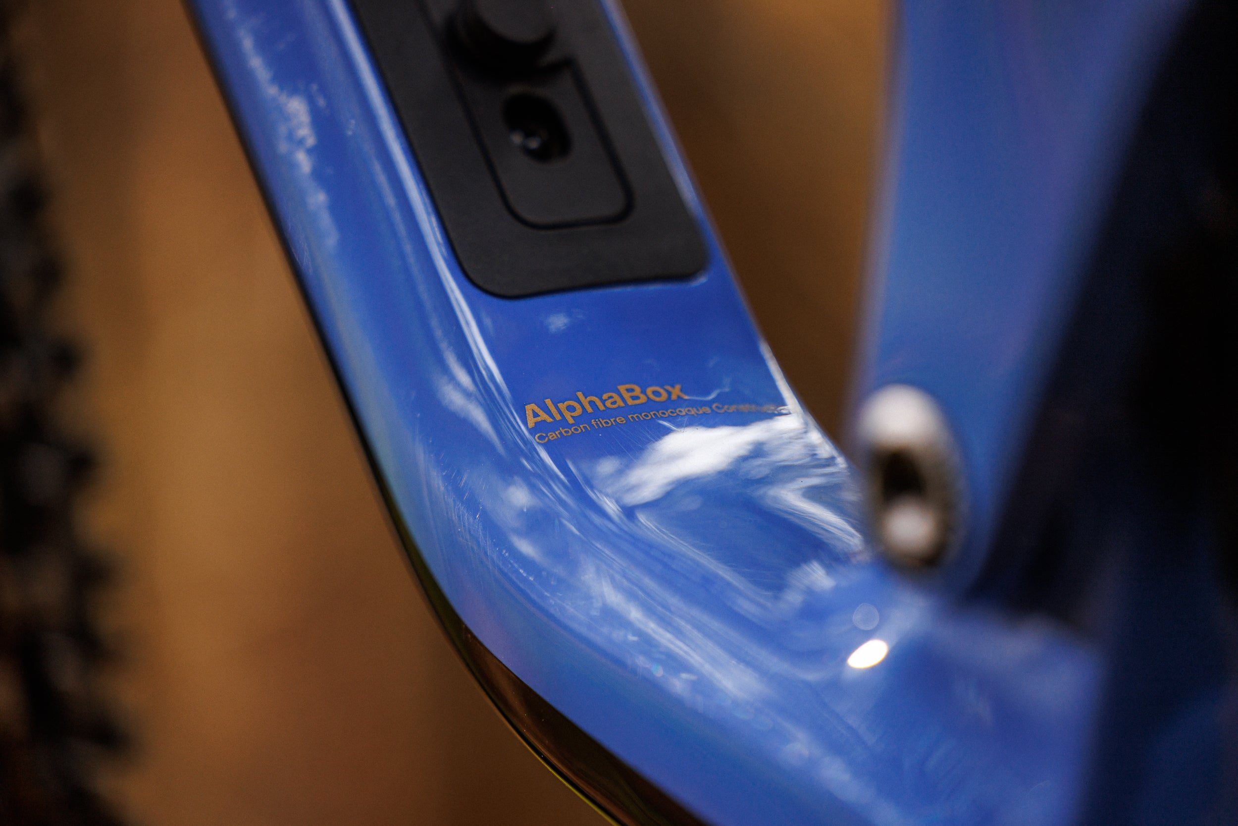 Forestal Cygnus Halō boutique-mtb