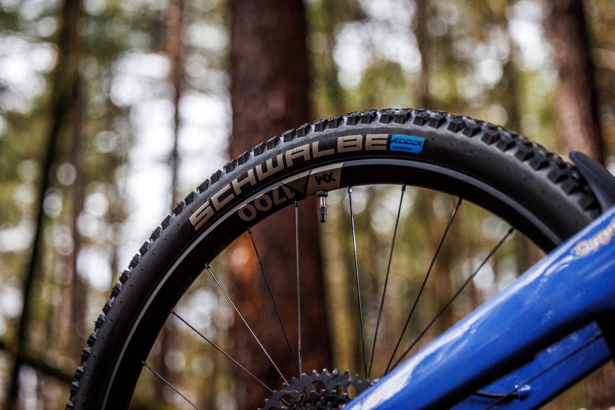 Forestal Cygnus Halō boutique-mtb