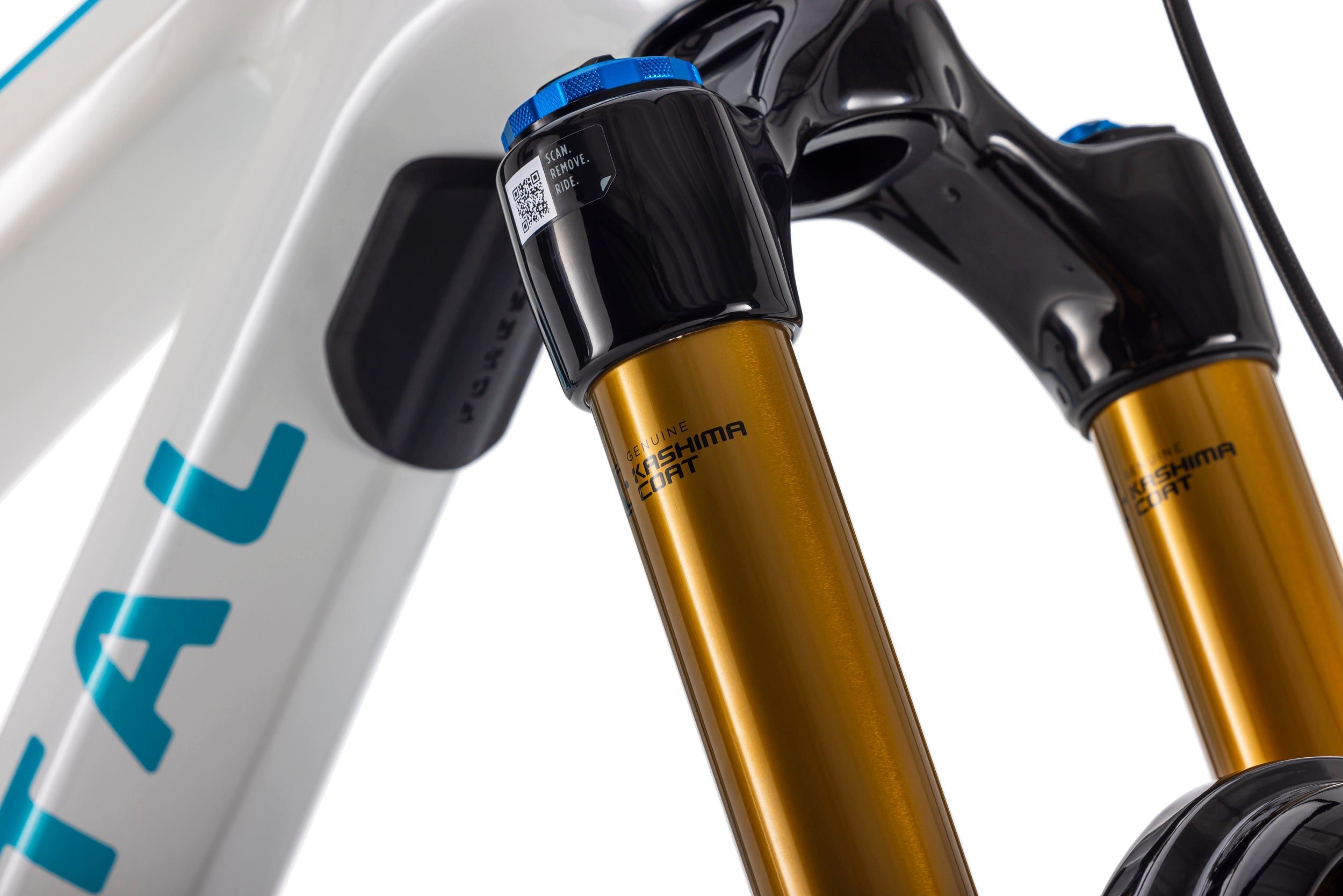 Forestal Siryon Diōde boutique-mtb