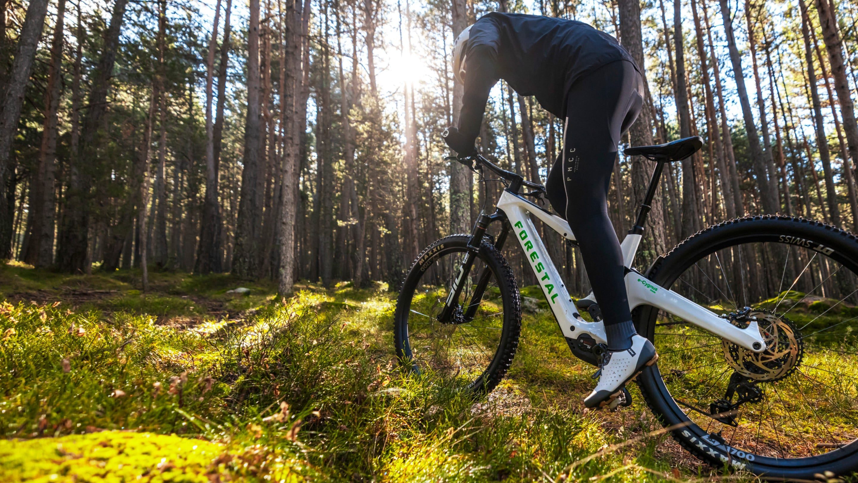 Forestal e‑Cygnus Bosch SX boutique-mtb