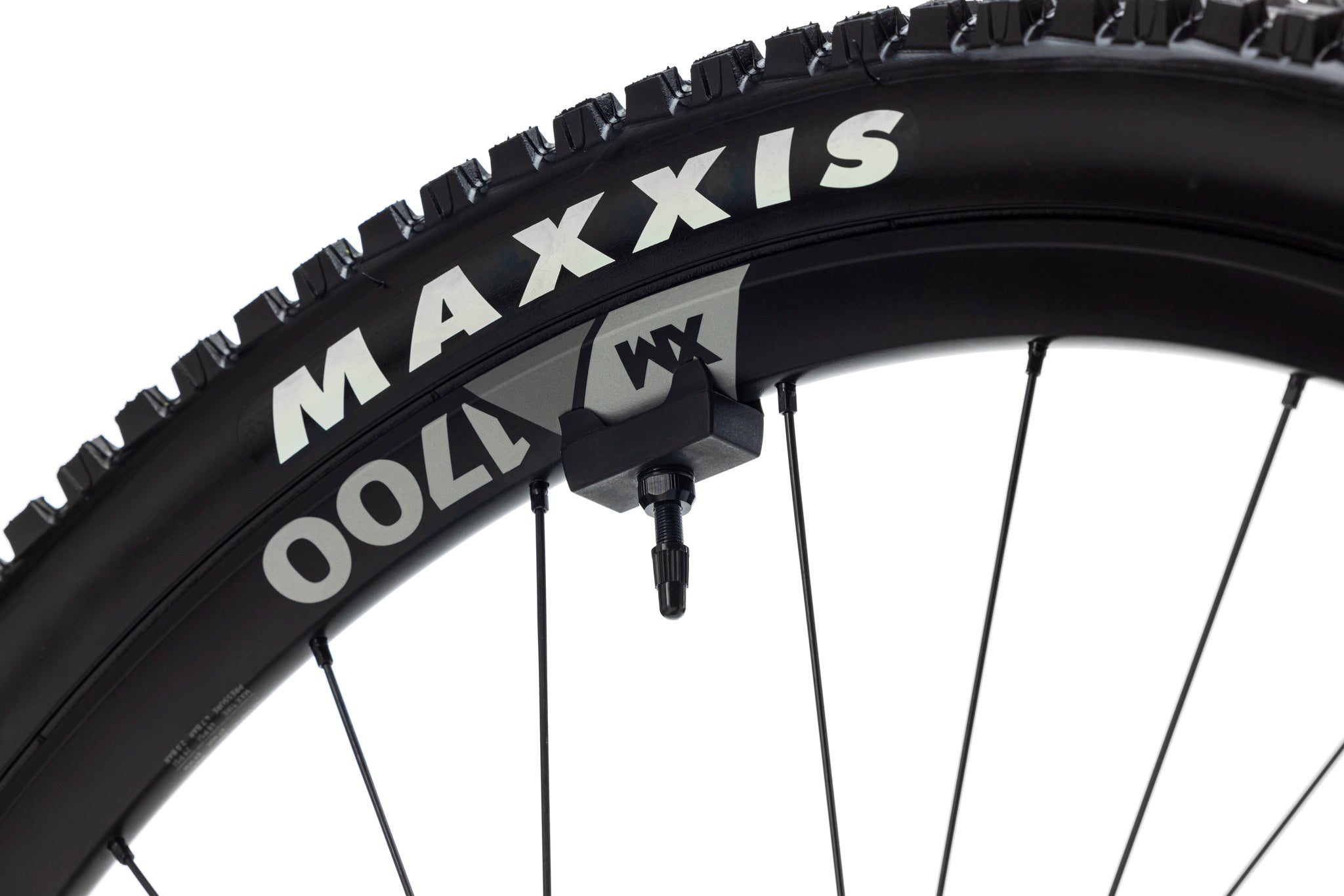 Forestal e‑Cygnus Bosch SX Diode boutique-mtb