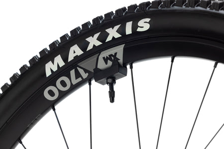 Forestal e‑Cygnus Bosch SX Diode boutique-mtb