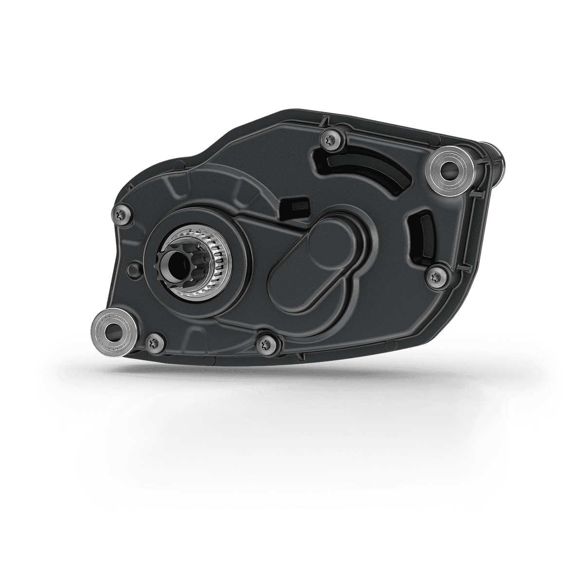 Forestal e‑Cygnus Bosch SX boutique-mtb