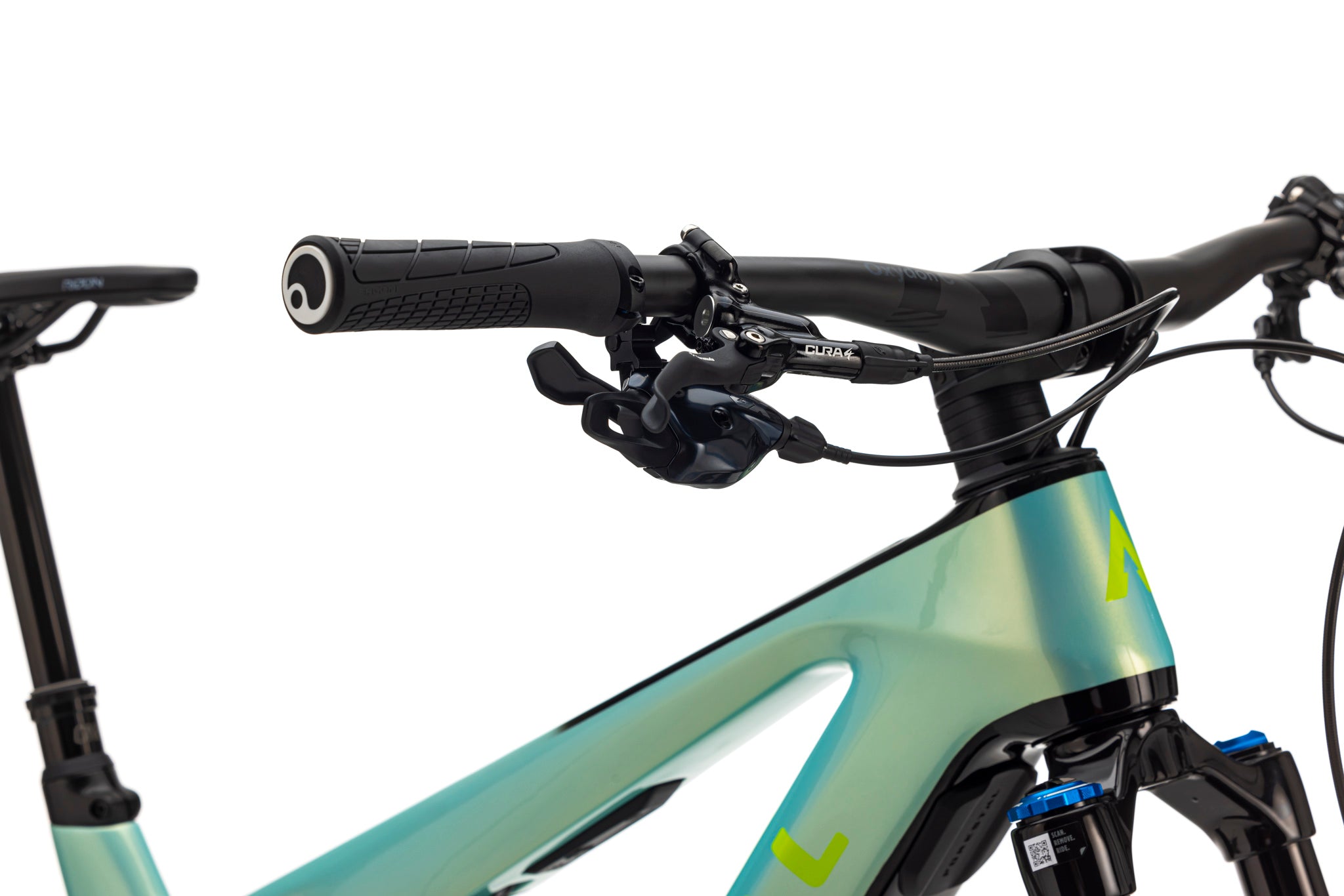 Forestal e‑Cygnus Bosch SX Halo S/M 160–177 cm boutique-mtb