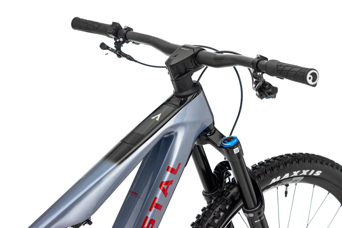 Forestal e‑Cygnus Bosch SX Halo boutique-mtb