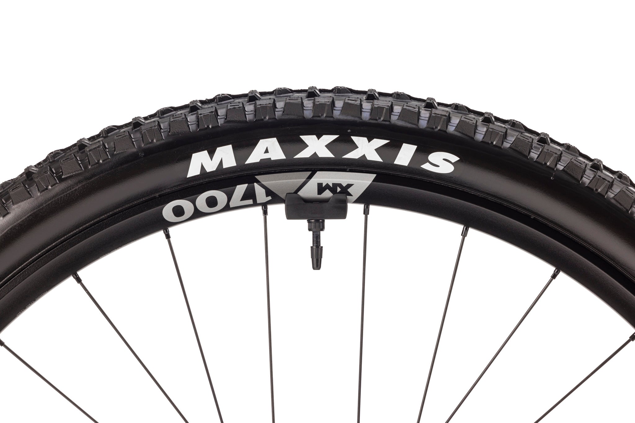 Forestal e‑Cygnus Bosch SX Halo boutique-mtb