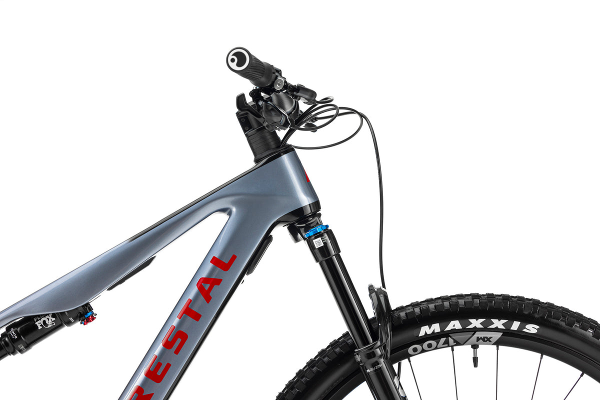 Forestal e‑Cygnus Bosch SX Halo boutique-mtb