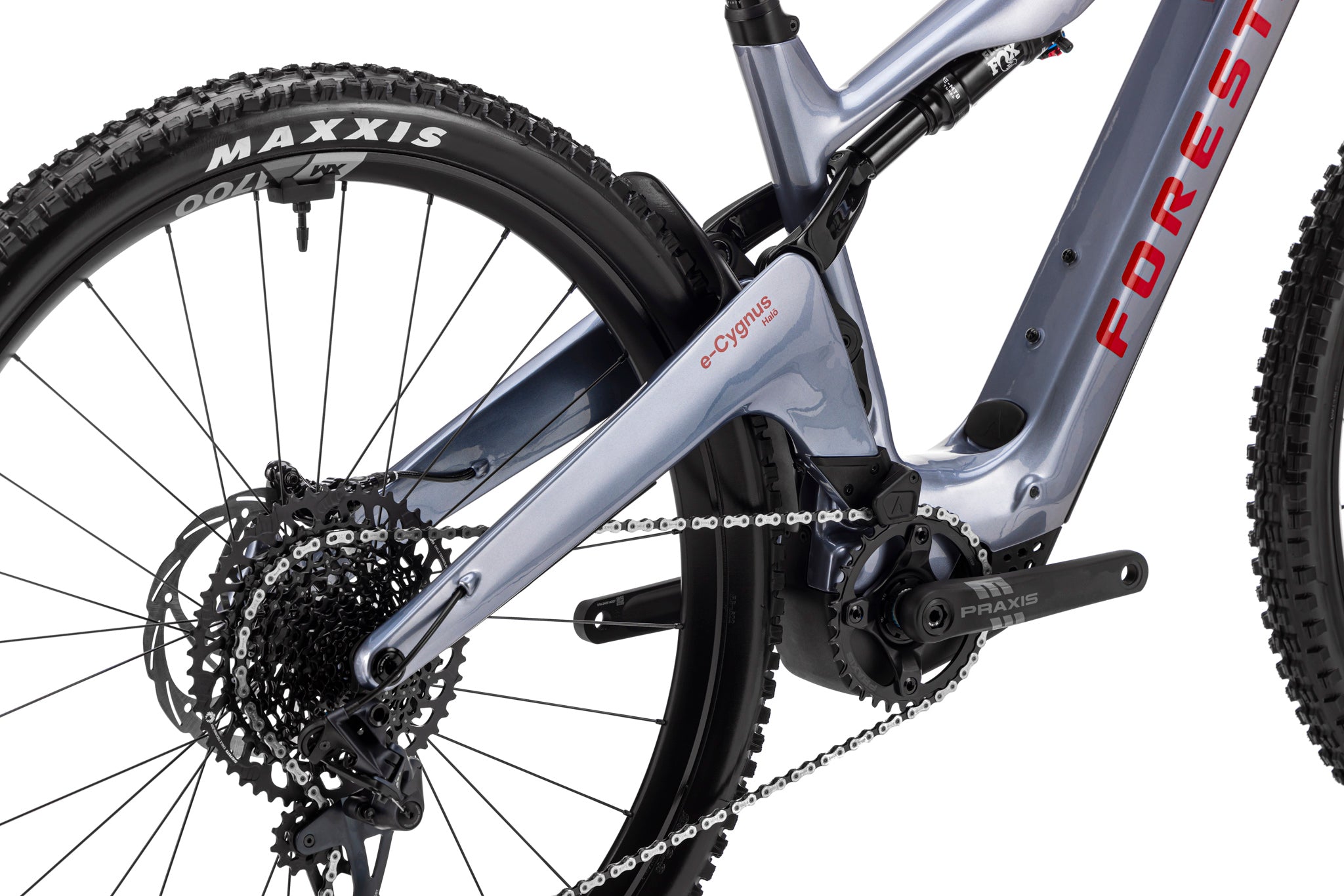 Forestal e‑Cygnus Bosch SX Halo boutique-mtb