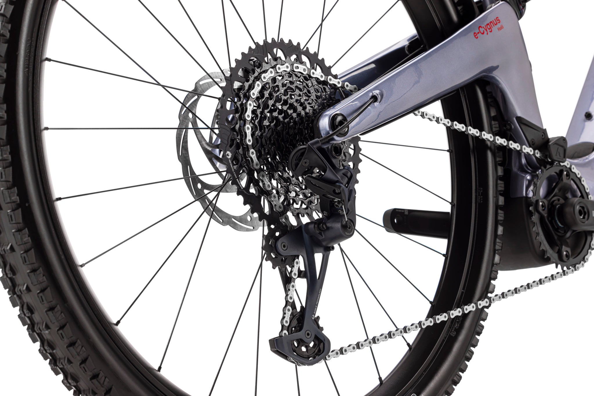 Forestal e‑Cygnus Bosch SX Halo boutique-mtb