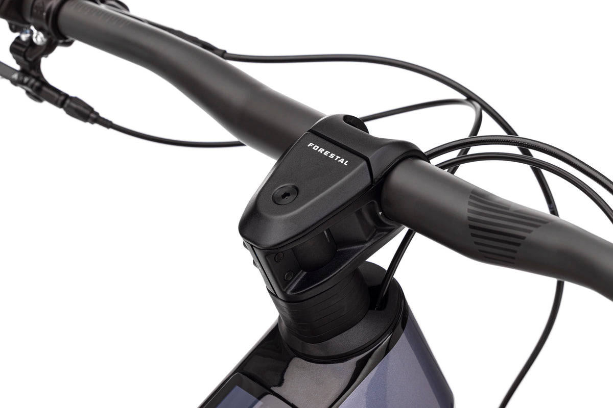 Forestal e‑Cygnus Bosch SX Halo boutique-mtb