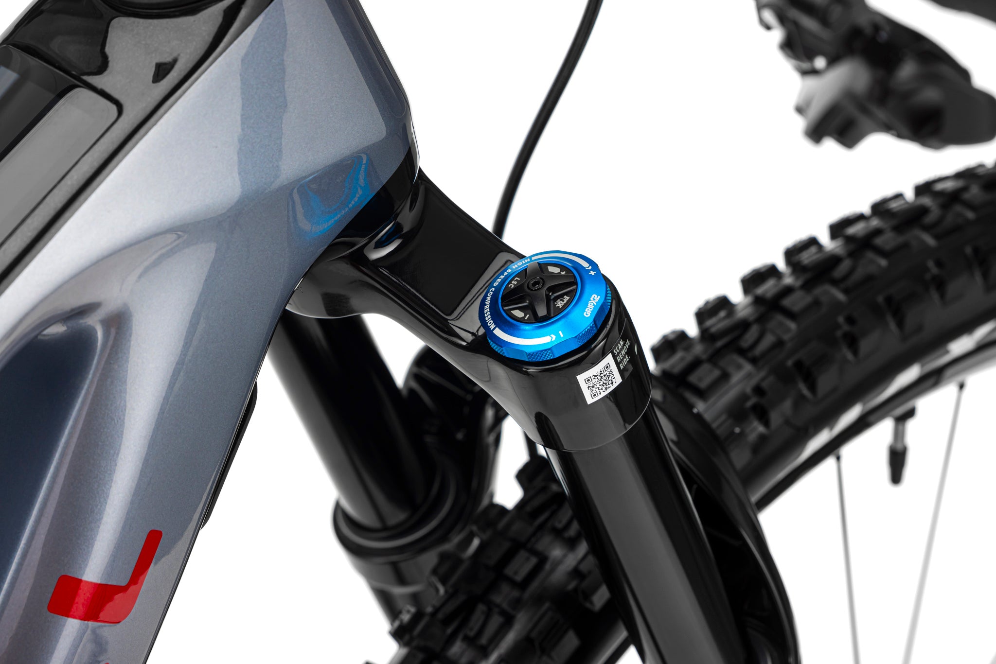 Forestal e‑Cygnus Bosch SX Halo boutique-mtb