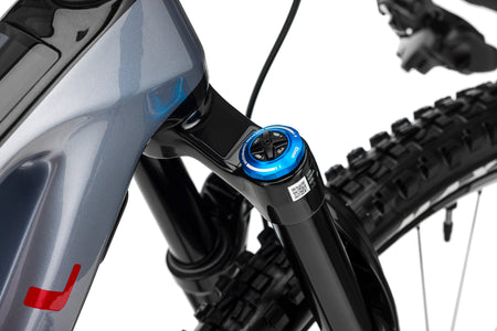 Forestal e‑Cygnus Bosch SX Halo boutique-mtb