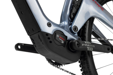 Forestal e‑Cygnus Bosch SX Halo boutique-mtb